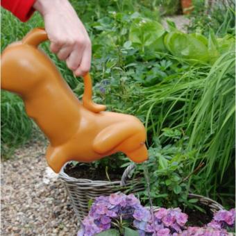 Dachshund watering can