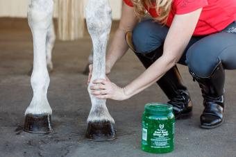 Farnam Cool Pack Green Jelly 1.89Ltr.   Original green cooling gel against stiffness and pain.