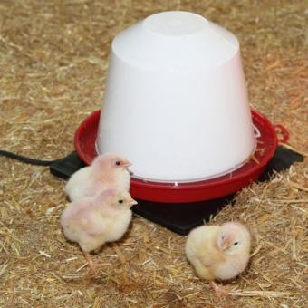 Kerbl Gummi Heating Mat 18Watt. for small animals and poultry