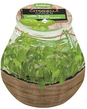 Bolsius Scented Candle Patiolight Citronella-Basil 94/91.     50 Burning hours, due to the citronella and delicious spicy scent of basil, mosquitoes and other insects are kept or distance.