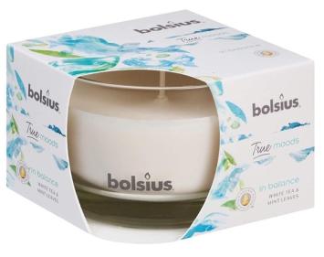 Bolsius Scented candle in glass True Moods In Balance 80/50. 18 burning hours. A fresh fragrance with white tea , green herbs and mint leaves on a woody background.