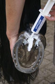 Multicor Hypozin 100gr.     Paste against thrush in horses.